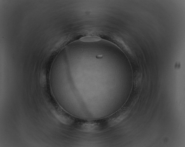 X0000091690213200708301547