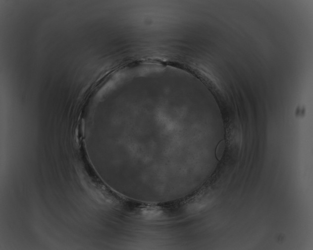 X0000091690214200708301547