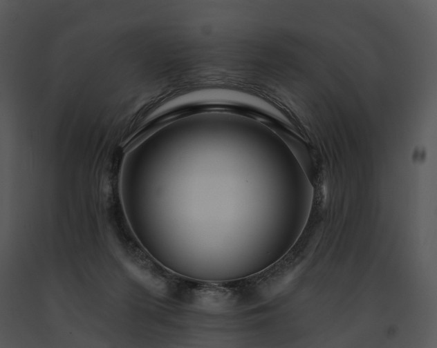 X0000091690215200708301547