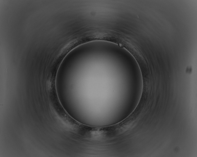 X0000091690216200708301546