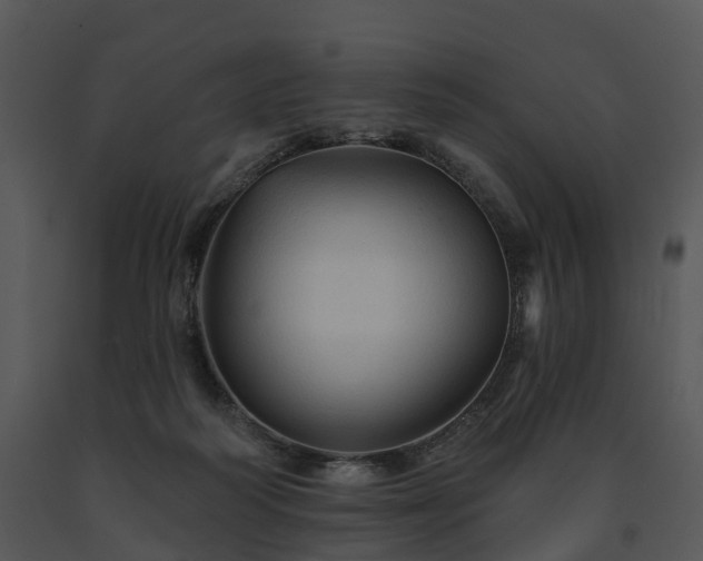 X0000091690218200708301546