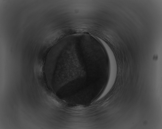 X0000091690219200708301546