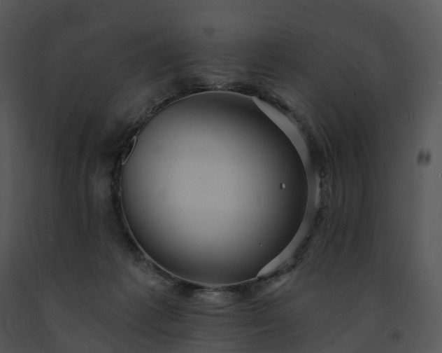 X0000091690221200708301546