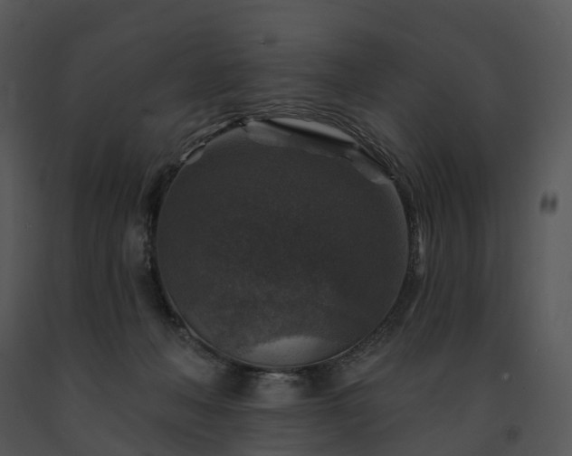 X0000091690222200708301546