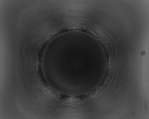 X0000091690223200708301546