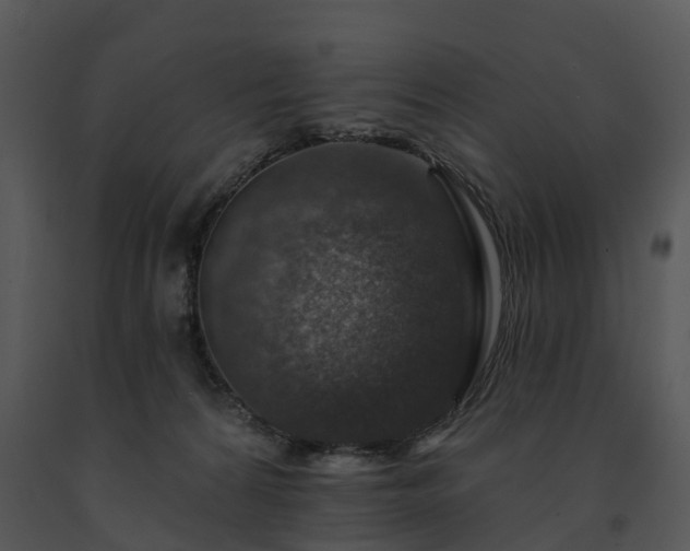 X0000091690224200708301546