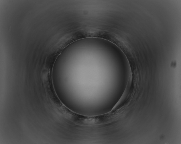 X0000091690225200708301546