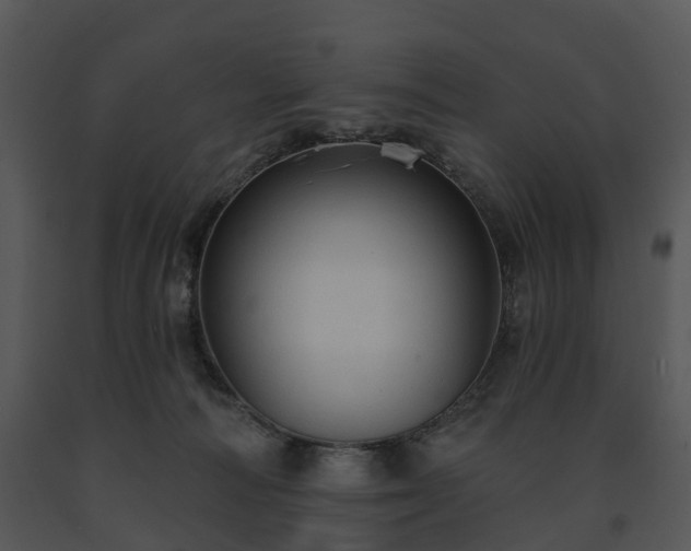 X0000091690226200708301546