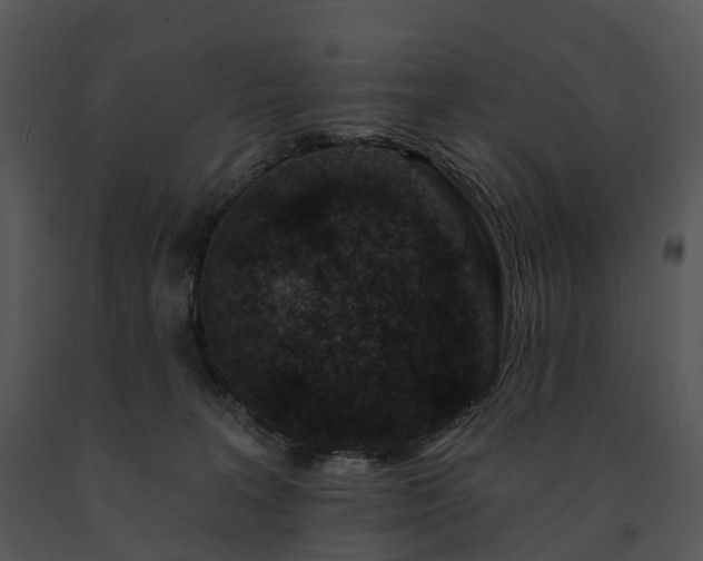 X0000091690227200708301546