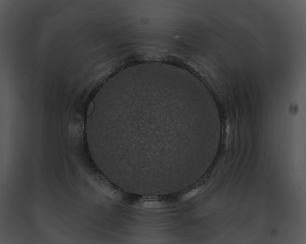 X0000091690228200708301546