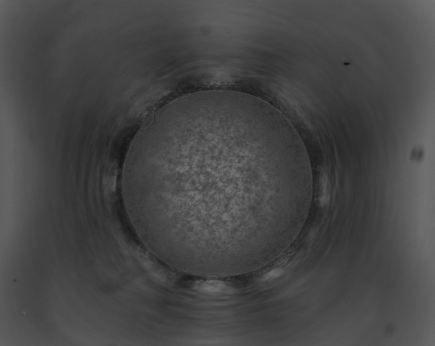 X0000091690230200708301546