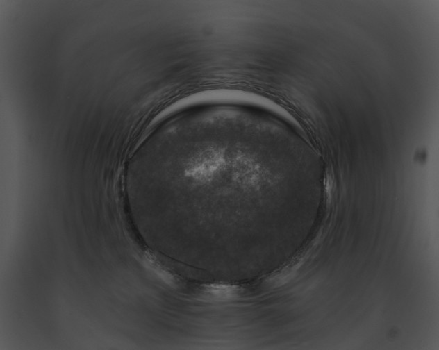 X0000091690233200708301546