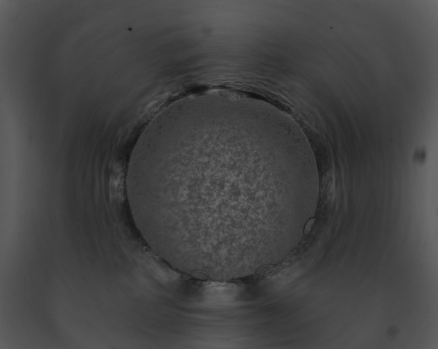 X0000091690234200708301546