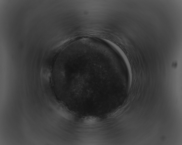 X0000091690235200708301546