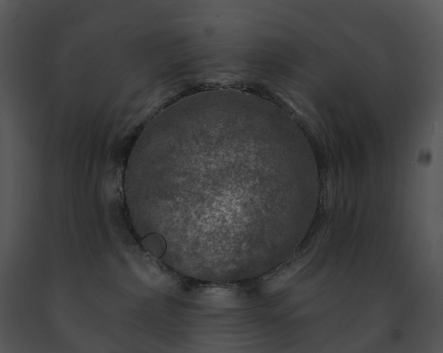 X0000091690236200708301546