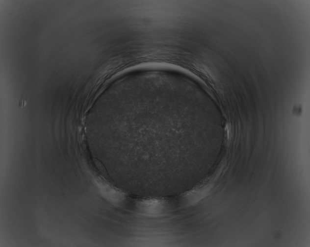 X0000091690237200708301546