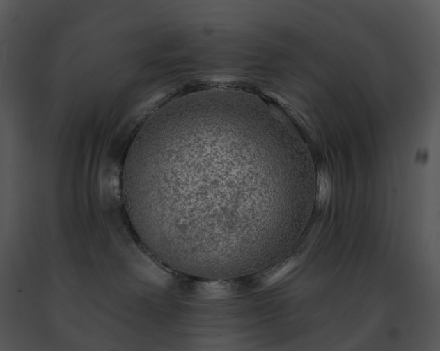 X0000091690238200708301546