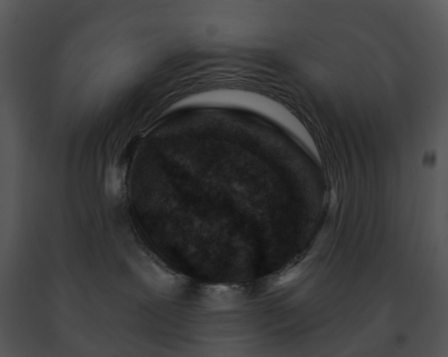 X0000091690239200708301546