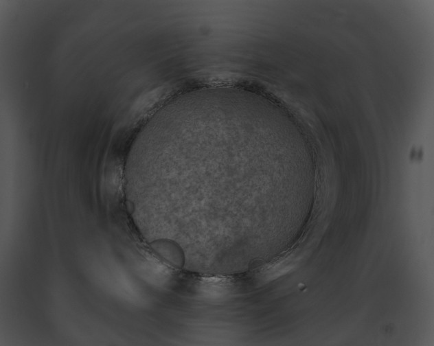 X0000091690240200708301546