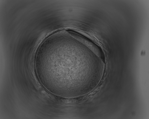 X0000091690241200708301546