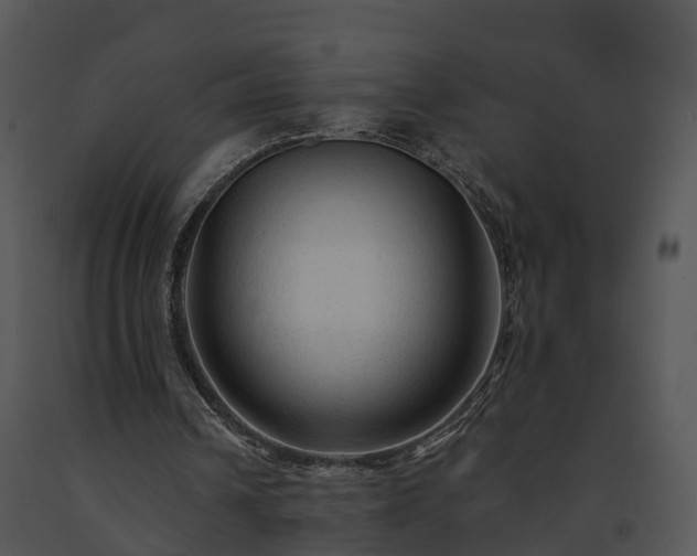 X0000091690242200708301546