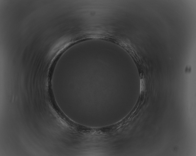 X0000091690243200708301546
