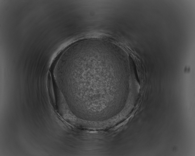 X0000091690244200708301546
