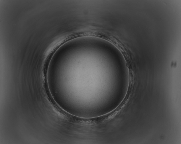 X0000091690245200708301546