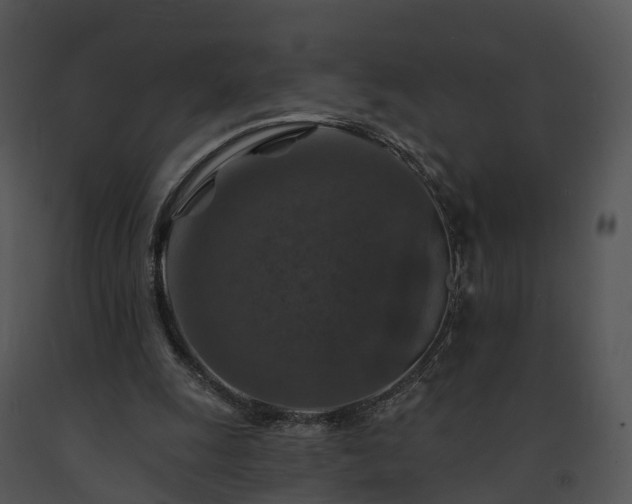 X0000091690247200708301546