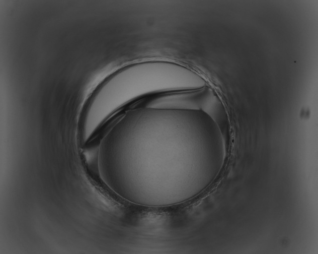 X0000091690248200708301546