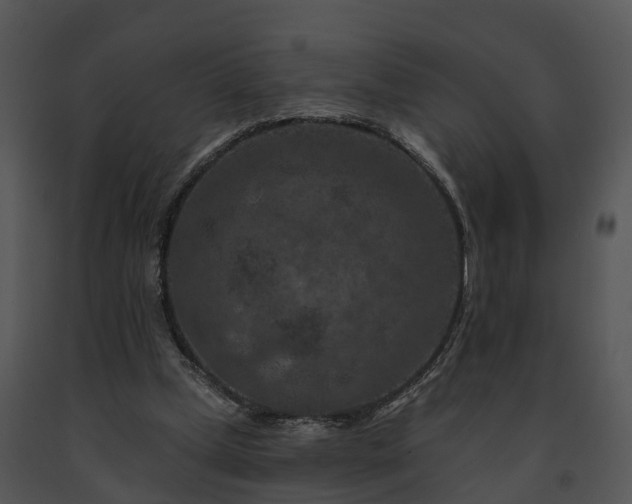 X0000091690249200708301546