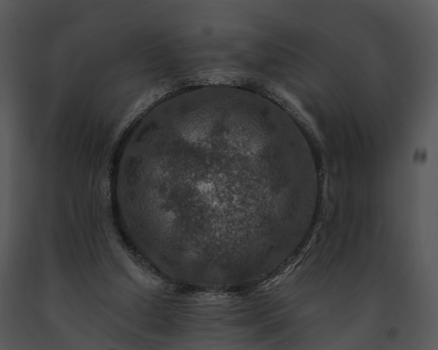 X0000091690250200708301546