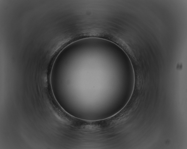 X0000091690251200708301546