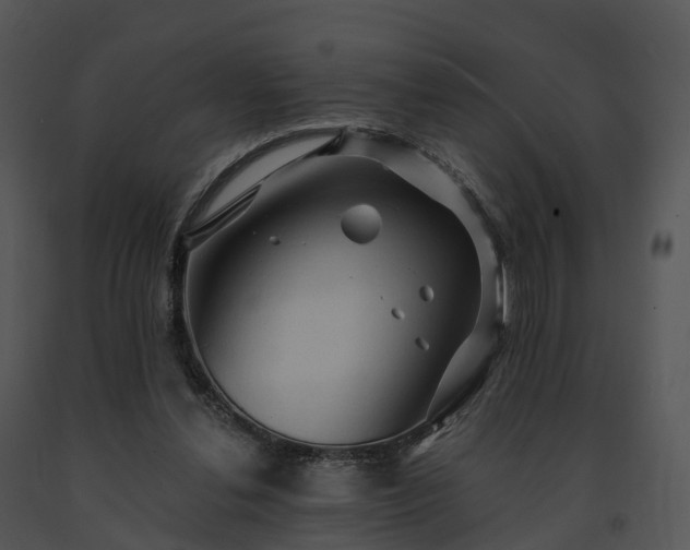 X0000091690252200708301546