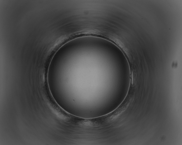X0000091690253200708301546