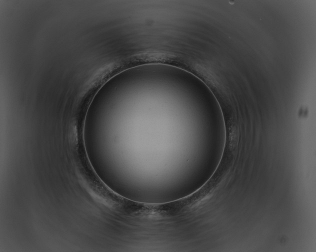 X0000091690254200708301546