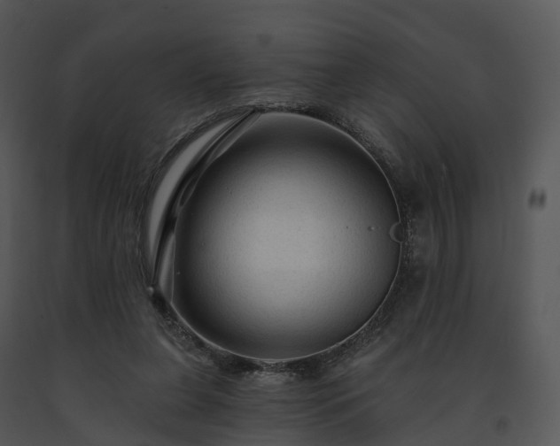 X0000091690255200708301546