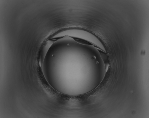 X0000091690256200708301546