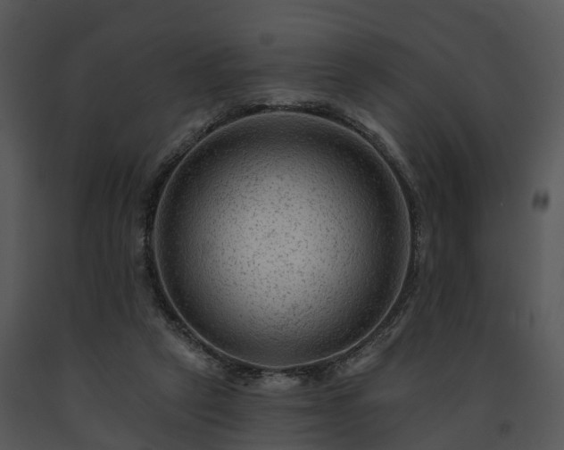 X0000091690257200708301546