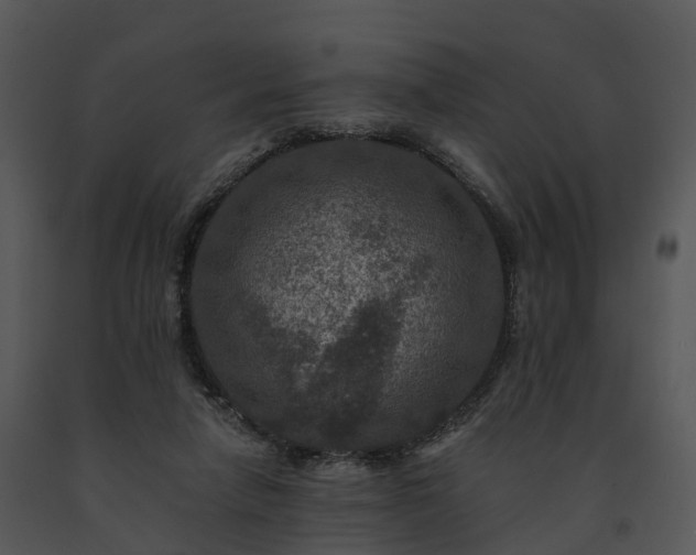 X0000091690258200708301546