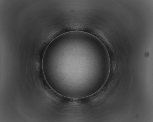 X0000091690259200708301546