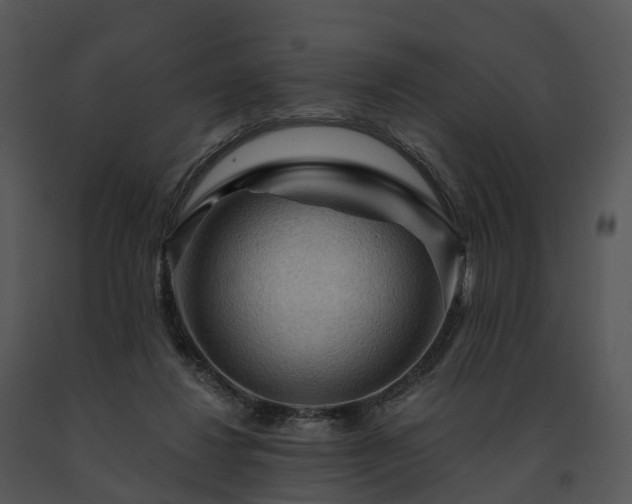X0000091690260200708301546