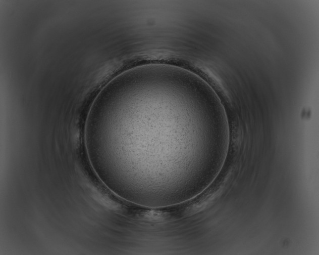 X0000091690261200708301546