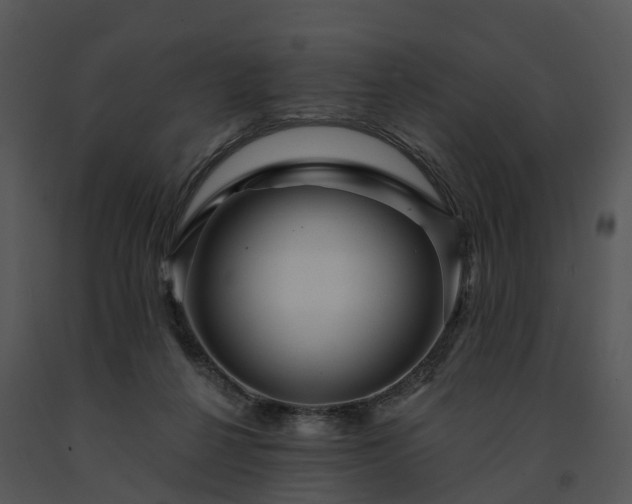 X0000091690264200708301546