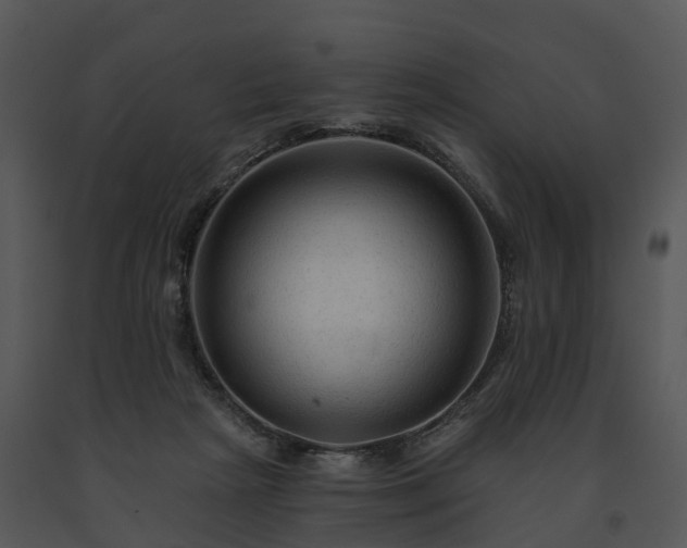 X0000091690265200708301546