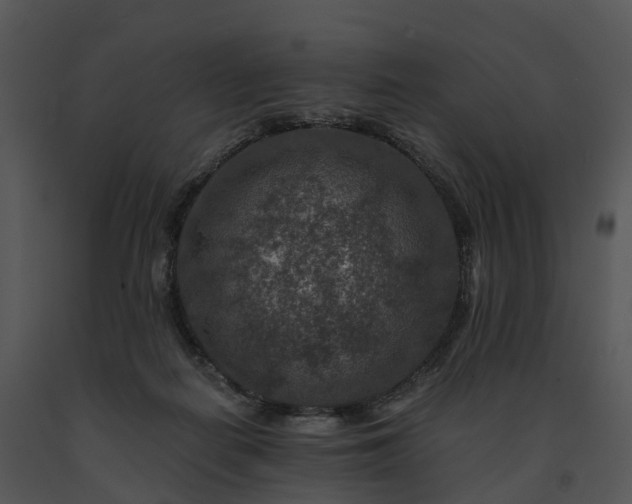 X0000091690266200708301546
