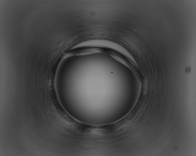 X0000091690268200708301546