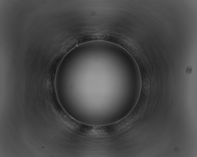 X0000091690270200708301546