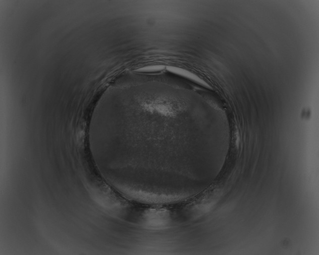 X0000091690271200708301546
