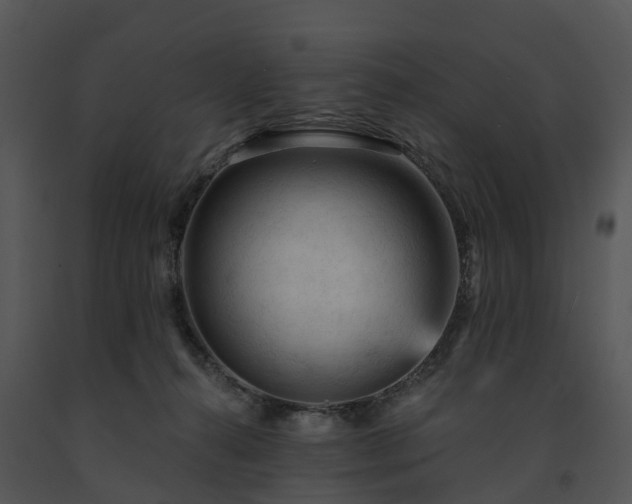X0000091690272200708301546